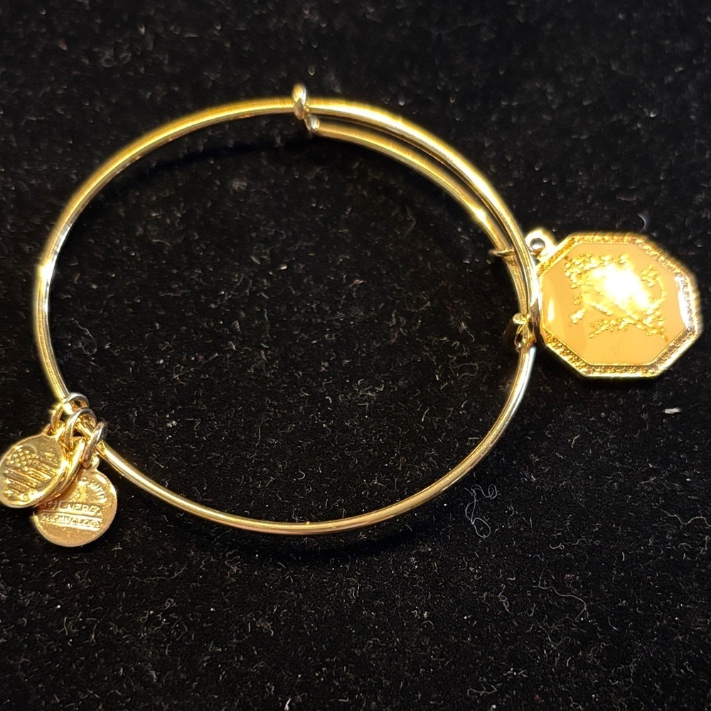 Alex and Ani Sweet Pea Gold Charm Bracelet
